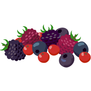 ベリー　Frutas Vermelhas
